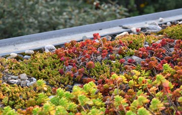 the cost of Dunkirk green roof installation